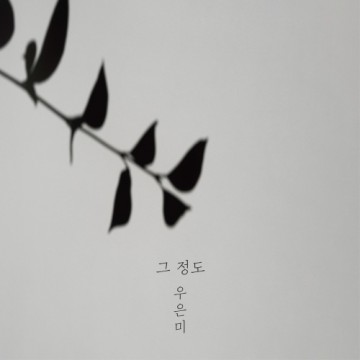  그 정도