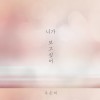 니가 보고싶어 앨범 커버