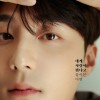 내게 사랑이 뭐냐고 물어본다면 앨범 커버