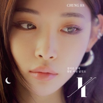 X (걸어온 길에 꽃밭 따윈 없었죠)
