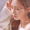 함부로 다정하게 앨범 커버
