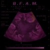 B.F.A.M (Brother From Another Mom) 앨범 커버