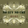 No Luv No Cry 앨범 커버