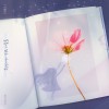 슬픔이 없는 아이처럼 앨범 커버