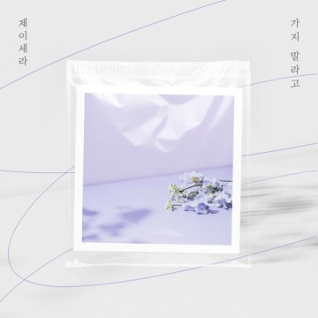  가지 말라고